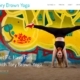 Yoga website for Tory Brown Yoga